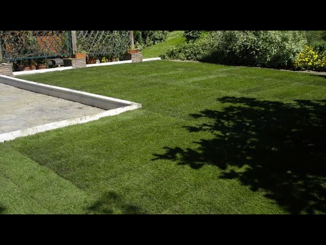 Cómo hacer un jardín en la terraza: Guía práctica (parte 1)