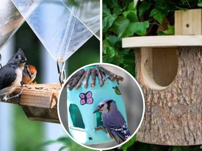Cómo hacer una casita para pájaros: Guía paso a paso