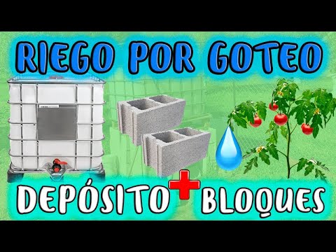 Cómo regar con depósito: trucos y consejos para un riego eficiente